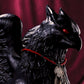 THE GRIFFIN SOFUBI BY DEMONCRAFTART